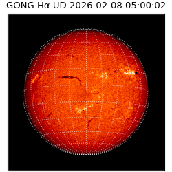 gong - 2026-02-08T05:00:02