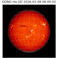 gong - 2026-02-08T06:00:02