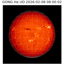 gong - 2026-02-08T08:00:02