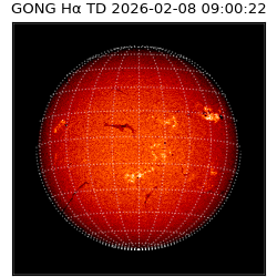 gong - 2026-02-08T09:00:22