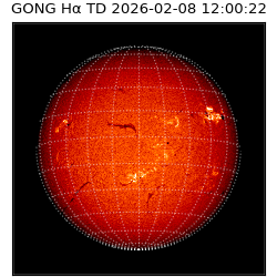 gong - 2026-02-08T12:00:22
