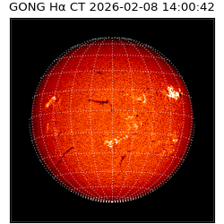 gong - 2026-02-08T14:00:42