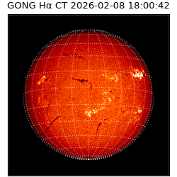 gong - 2026-02-08T18:00:42