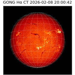gong - 2026-02-08T20:00:42