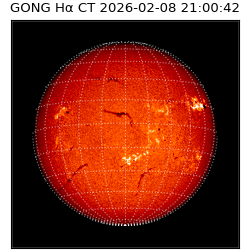 gong - 2026-02-08T21:00:42