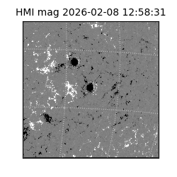 shmi - 2026-02-08T12:58:31.300000