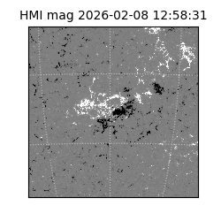 shmi - 2026-02-08T12:58:31.300000
