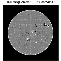 shmi - 2026-02-08T04:58:31.300000