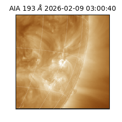 saia - 2026-02-09T03:00:40.844000