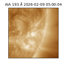 saia - 2026-02-09T05:00:04.843000