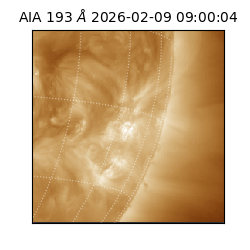 saia - 2026-02-09T09:00:04.843000