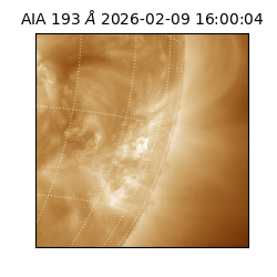 saia - 2026-02-09T16:00:04.843000