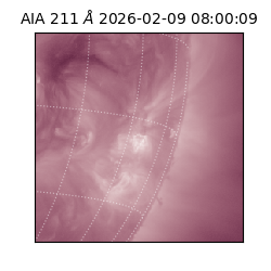 saia - 2026-02-09T08:00:09.626000