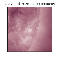 saia - 2026-02-09T09:00:09.626000