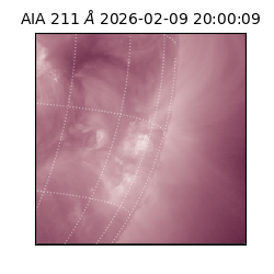 saia - 2026-02-09T20:00:09.630000