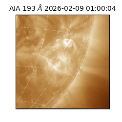 saia - 2026-02-09T01:00:04.846000