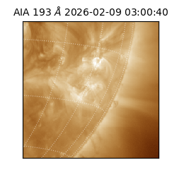 saia - 2026-02-09T03:00:40.844000