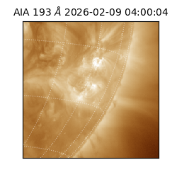 saia - 2026-02-09T04:00:04.843000