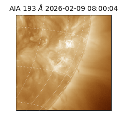 saia - 2026-02-09T08:00:04.843000