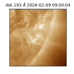 saia - 2026-02-09T09:00:04.843000