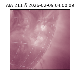 saia - 2026-02-09T04:00:09.633000