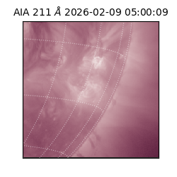 saia - 2026-02-09T05:00:09.626000