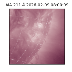 saia - 2026-02-09T08:00:09.626000