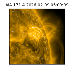 saia - 2026-02-09T05:00:09.350000