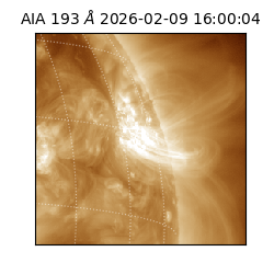 saia - 2026-02-09T16:00:04.843000