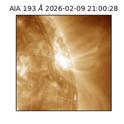 saia - 2026-02-09T21:00:28.843000