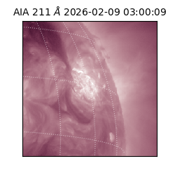 saia - 2026-02-09T03:00:09.626000