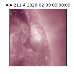 saia - 2026-02-09T09:00:09.626000