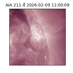 saia - 2026-02-09T11:00:09.626000