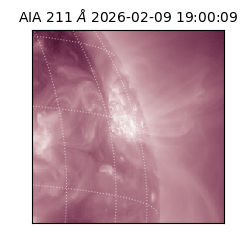 saia - 2026-02-09T19:00:09.626000