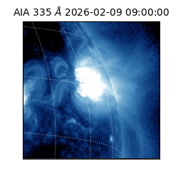 saia - 2026-02-09T09:00:00.626000