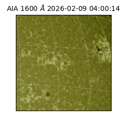 saia - 2026-02-09T04:00:14.126000