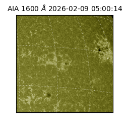 saia - 2026-02-09T05:00:14.126000