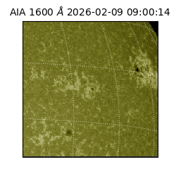 saia - 2026-02-09T09:00:14.126000