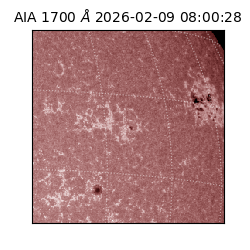 saia - 2026-02-09T08:00:28.717000