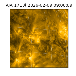 saia - 2026-02-09T09:00:09.350000