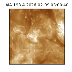 saia - 2026-02-09T03:00:40.844000