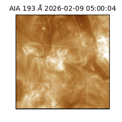 saia - 2026-02-09T05:00:04.843000