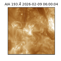 saia - 2026-02-09T06:00:04.843000