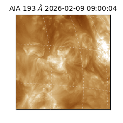 saia - 2026-02-09T09:00:04.843000
