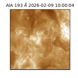 saia - 2026-02-09T10:00:04.843000