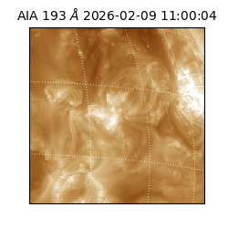 saia - 2026-02-09T11:00:04.843000