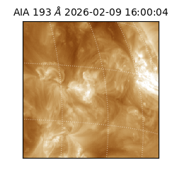 saia - 2026-02-09T16:00:04.843000