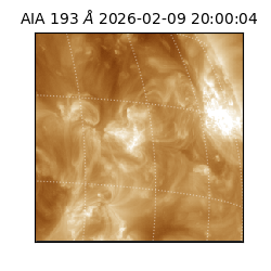 saia - 2026-02-09T20:00:04.843000