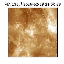saia - 2026-02-09T21:00:28.843000