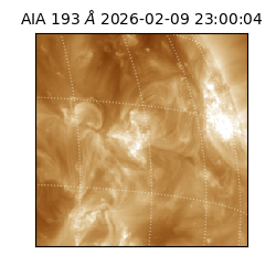 saia - 2026-02-09T23:00:04.843000